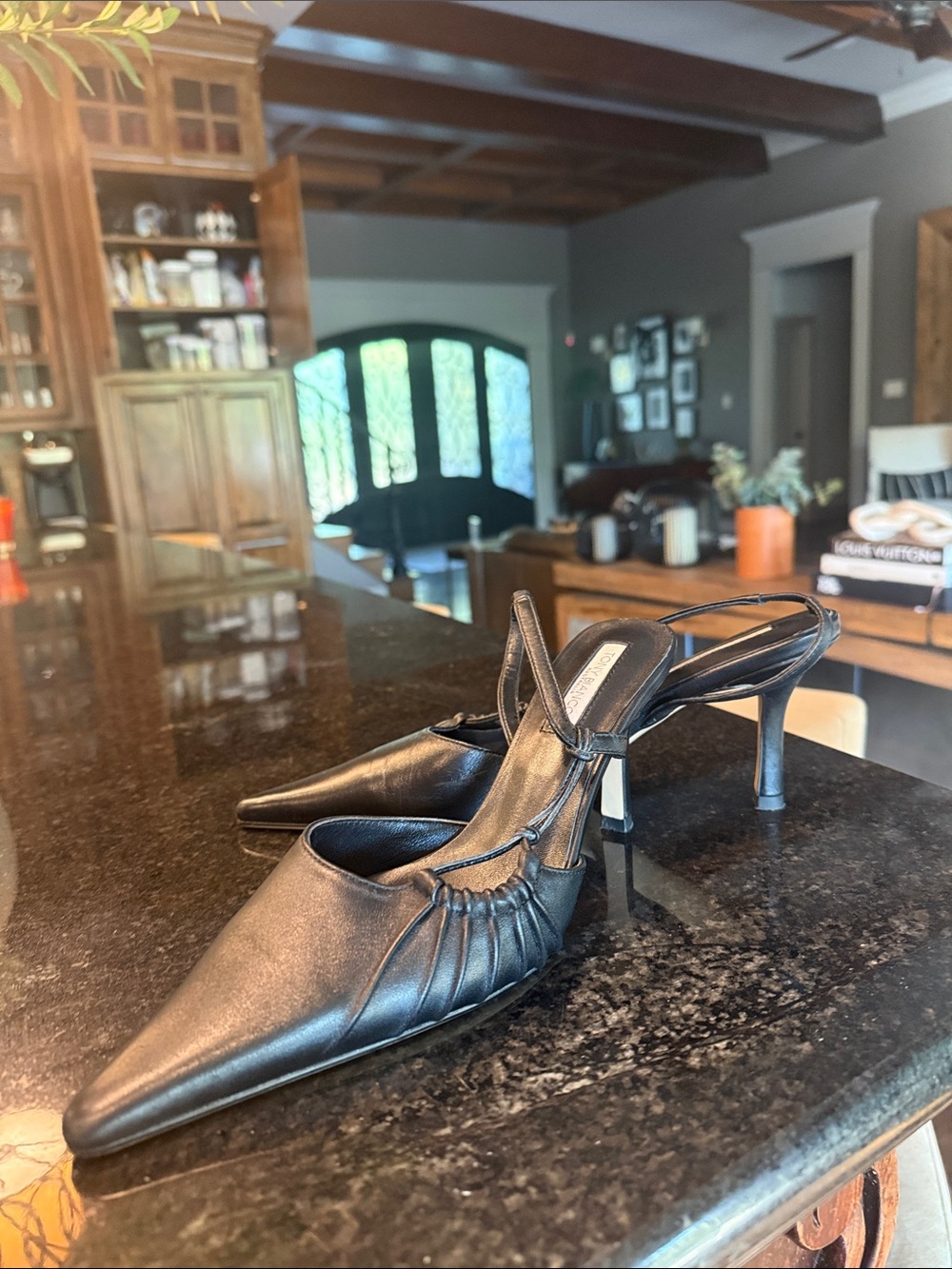 Tony Bianco Black Pointed Slingback Heels